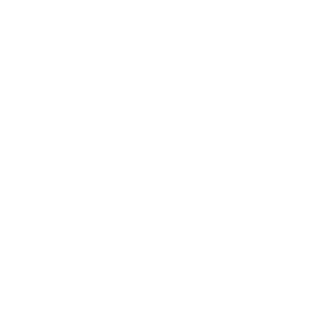 The Singular Spaces